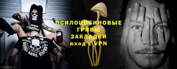 стафф Киреевск